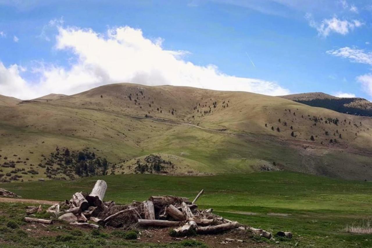Les Forques De'N Pep Apartment Toses Bagian luar foto
